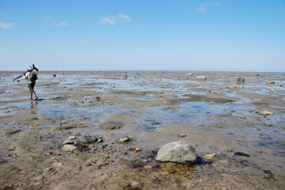 The ROMs Mark Peck on the James Bay Coast, south of the Albany River, August 2010