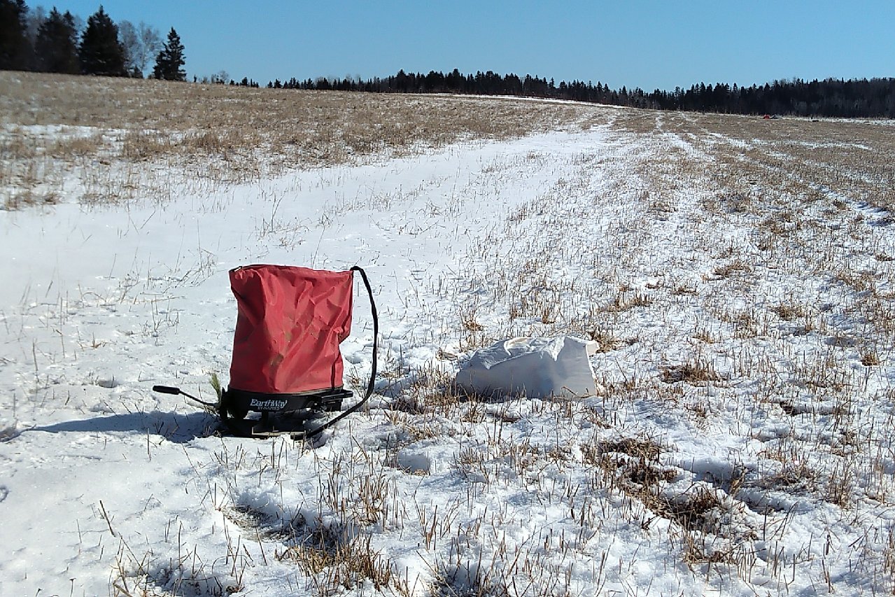 IMG_20200321_1053348